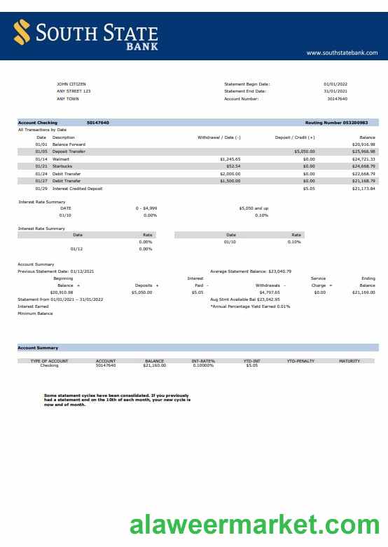 USA South State Bank statement Word and PDF template